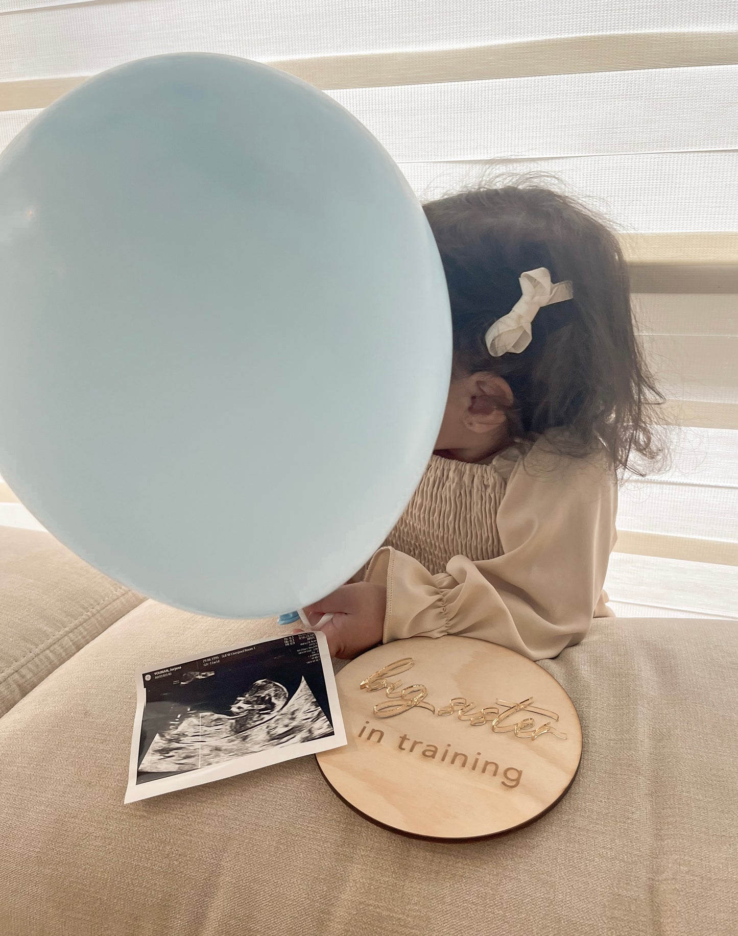 Big Sister/ Big Brother Announcement Plaque
