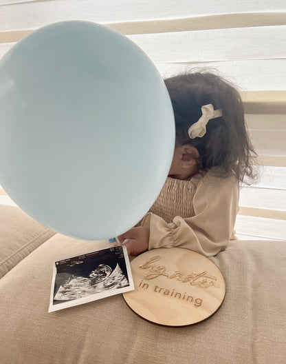Big Sister/ Big Brother Announcement Plaque